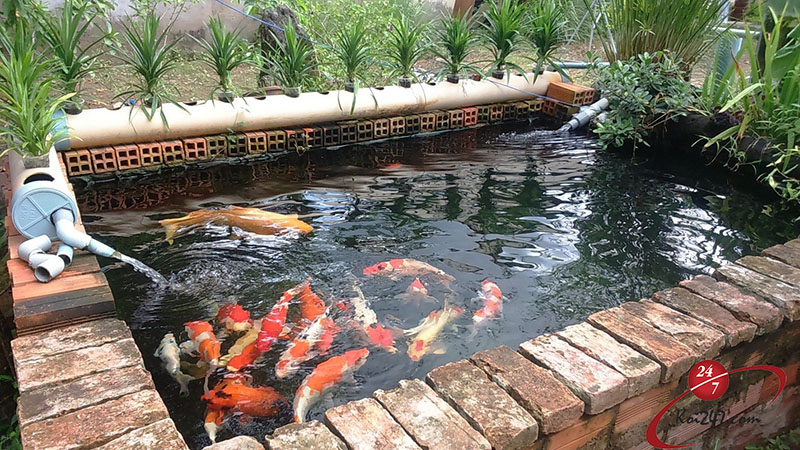 Tr&uacute;ng giải độc đắc nhờ nằm mơ thấy c&aacute; đ&aacute;nh con g&igrave;