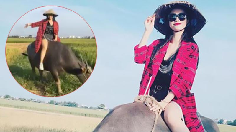 Nằm mơ thấy tr&acirc;u đ&aacute;nh con g&igrave; khi bản th&acirc;n đang cưỡi tr&acirc;u